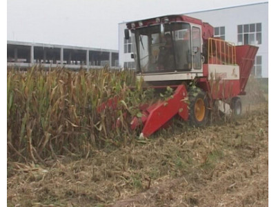 豪豐4YZ-4型自走式玉米收獲機作業視頻
