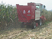 豪丰4YZX-3型自走式玉米收获机作业视频