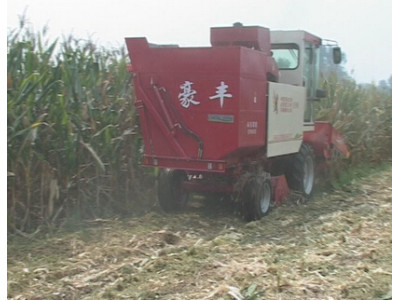 豪豐4YZX-3型自走式玉米收獲機作業視頻