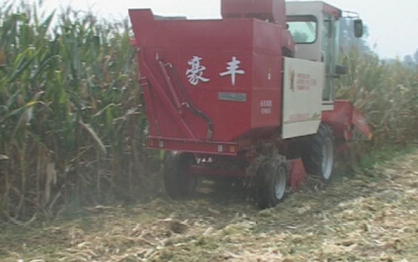 豪丰4YZX-3型自走式玉米收获机作业视频