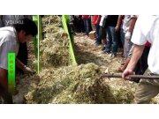 花溪玉田打捆包膜一體機作業(yè)視頻