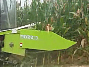 花溪4YZB-3三行玉米收割机作业视频