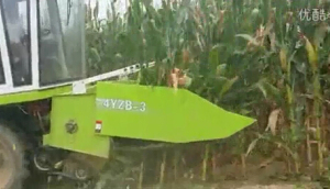 花溪4YZB-3三行玉米收割機作業視頻