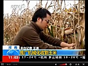 花溪玉田玉米收获机荣登央视新闻视频