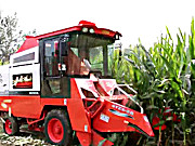 山西仁达4YZX-2B玉米收割机作业视频