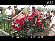 潍坊大众花生收获机作业视频