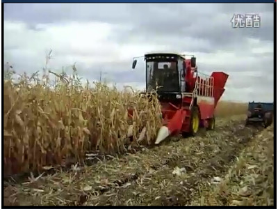 雷沃谷神CP04自走式玉米收割機作業視頻