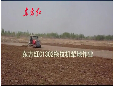 東方紅C1302履帶拖拉機犁地作業視頻