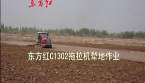 东方红C1302履带拖拉机犁地作业视频