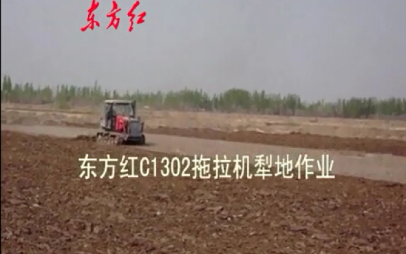 东方红C1302履带拖拉机犁地作业视频