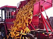 雷鸣重工4YZB-4玉米收割机卸粮视频