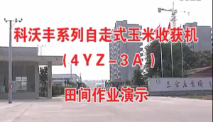 乐万家科沃丰4YZ-3A自走式三行玉米收获机作业视频
