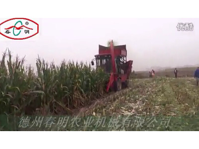 德州春明4YZQP-3型穗茎兼收玉米收获机作业视频