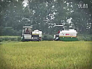九方泰禾迪马水稻机作业视频