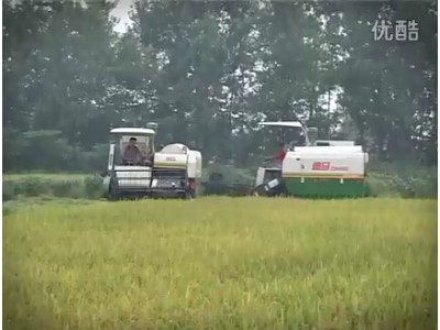 九方泰禾迪馬水稻機作業視頻