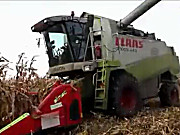 科乐收440玉米收割机作业视频